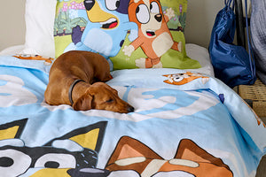 2-Dels Set Bluey Multi